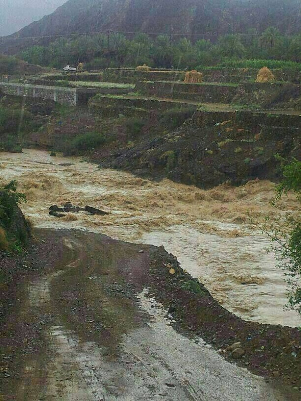     . 

:	uploadfromtaptalk1391942618861.jpg 
:	151 
:	95.6  
:	9323