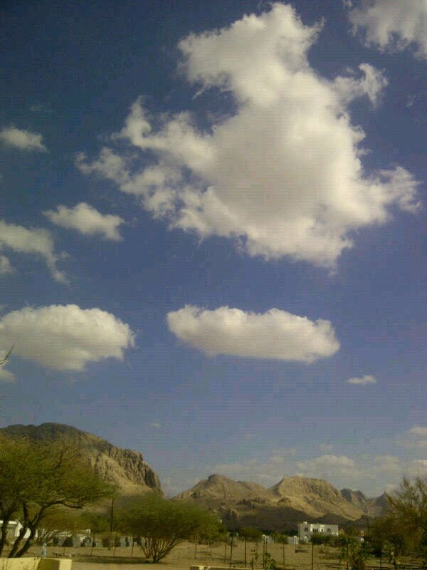 :	uploadfromtaptalk1354181513003.jpg
: 80
:	94.0 