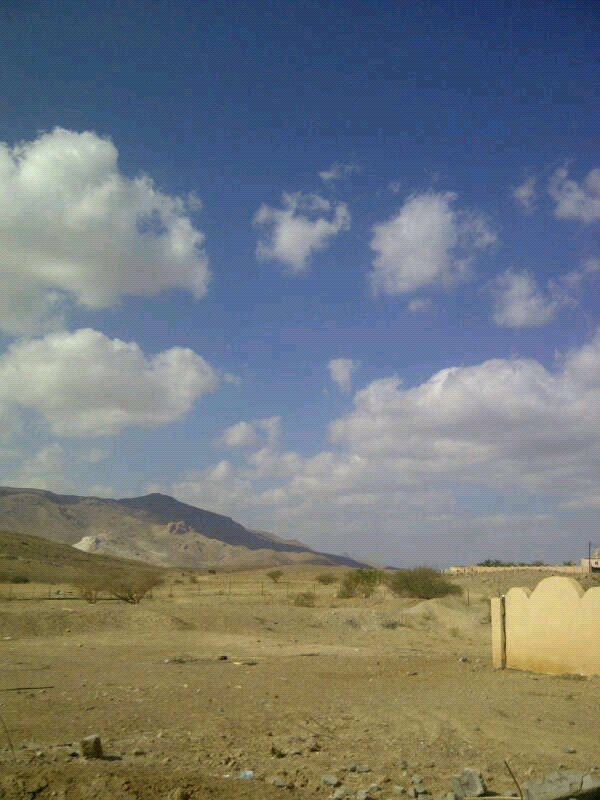 :	uploadfromtaptalk1354181531808.jpg
: 84
:	94.9 