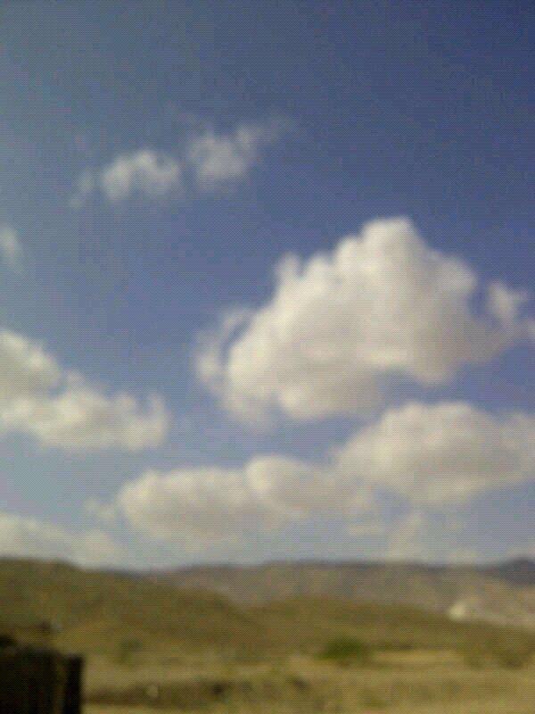:	uploadfromtaptalk1354181546377.jpg
: 83
:	80.5 