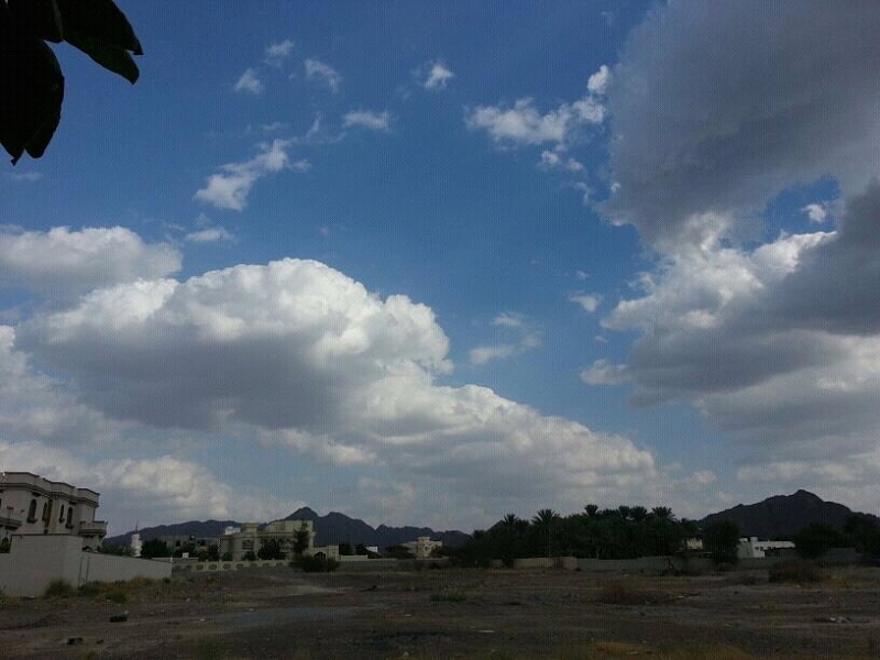     . 

:	uploadfromtaptalk1354186804932.jpg 
:	96 
:	94.6  
:	949