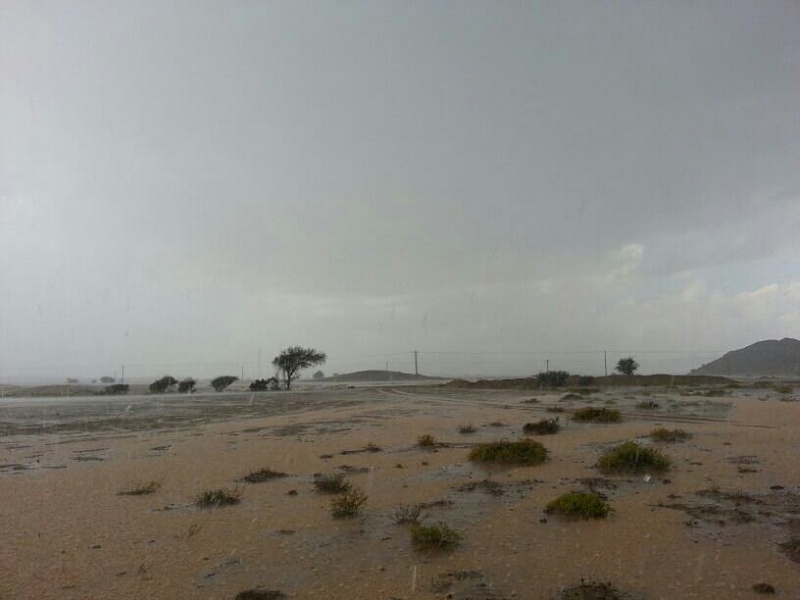 ���� ��� ������ ���� ����.&nbsp;

�����:	uploadfromtaptalk1392284806187.jpg&nbsp;
�������:	125&nbsp;
�����:	42.9 ��������&nbsp;
������:	9634