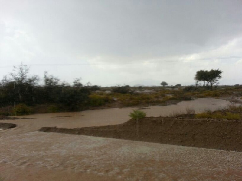 ���� ��� ������ ���� ����.&nbsp;

�����:	uploadfromtaptalk1392284812794.jpg&nbsp;
�������:	120&nbsp;
�����:	45.3 ��������&nbsp;
������:	9635