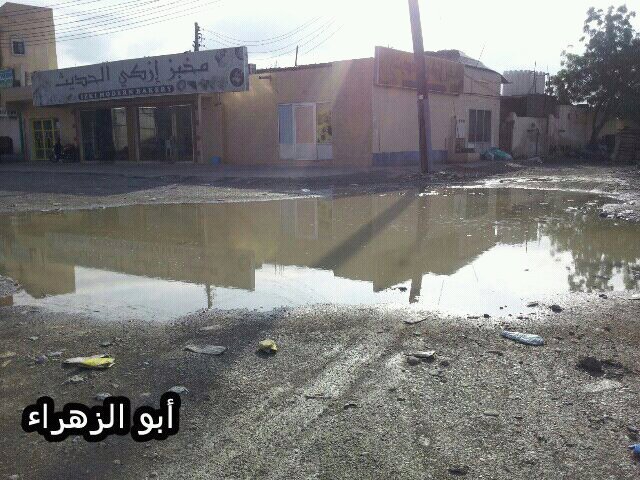 :	uploadfromtaptalk1354253285170.jpg
: 71
:	95.7 