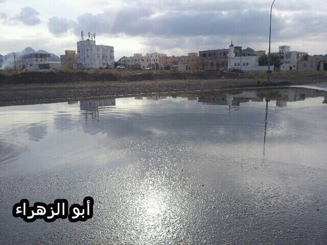 :	uploadfromtaptalk1354253356135.jpg
: 69
:	90.9 