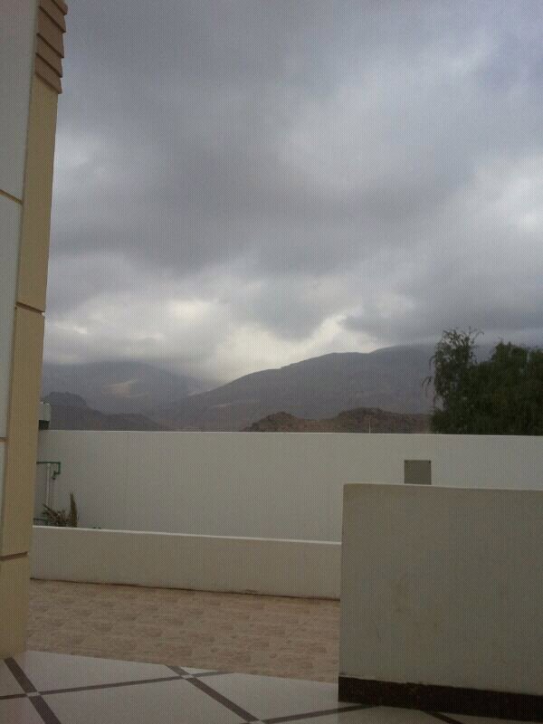 :	uploadfromtaptalk1354254433900.jpg
: 66
:	81.9 